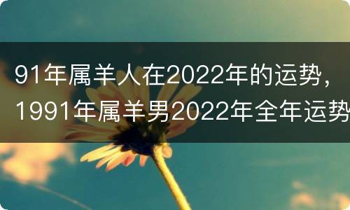 91年属羊人在2022年的运势，1991年属羊男2022年全年运势