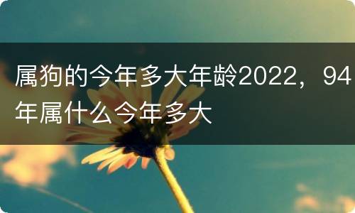 属狗的今年多大年龄2022，94年属什么今年多大