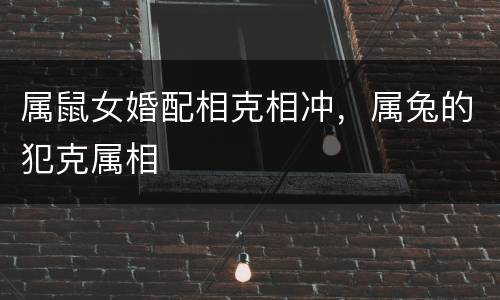 属鼠女婚配相克相冲，属兔的犯克属相