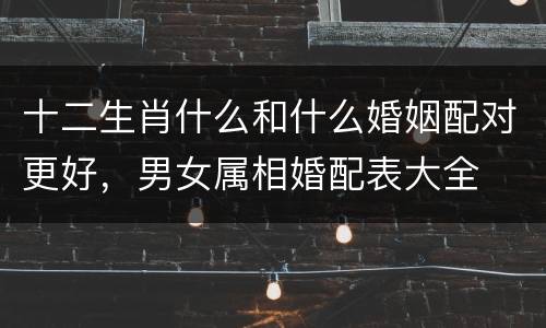 十二生肖什么和什么婚姻配对更好，男女属相婚配表大全