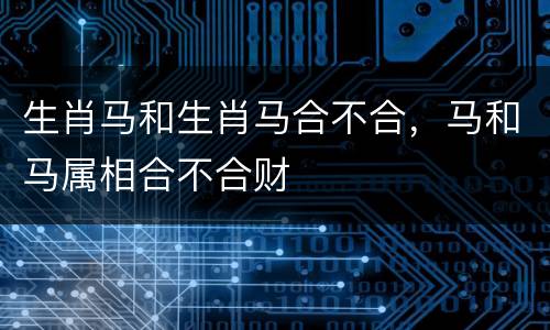 生肖马和生肖马合不合，马和马属相合不合财