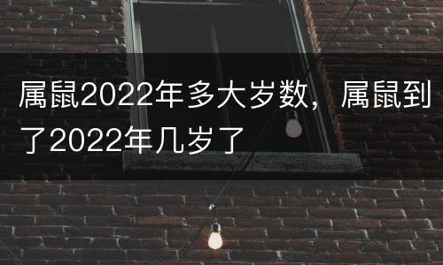 属鼠2022年多大岁数，属鼠到了2022年几岁了