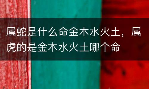 属蛇是什么命金木水火土，属虎的是金木水火土哪个命