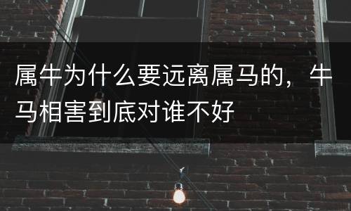 属牛为什么要远离属马的，牛马相害到底对谁不好