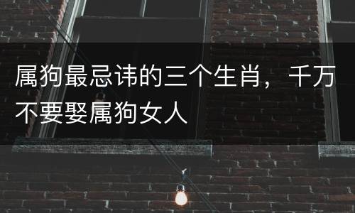 属狗最忌讳的三个生肖，千万不要娶属狗女人