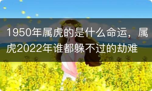 1950年属虎的是什么命运，属虎2022年谁都躲不过的劫难
