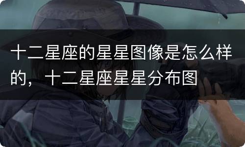 十二星座的星星图像是怎么样的，十二星座星星分布图