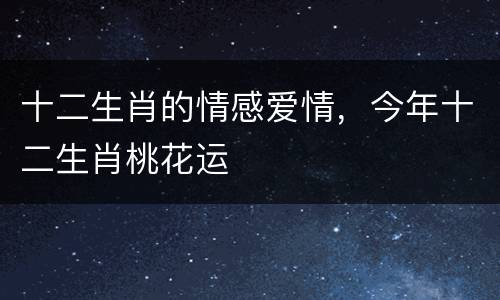 十二生肖的情感爱情，今年十二生肖桃花运