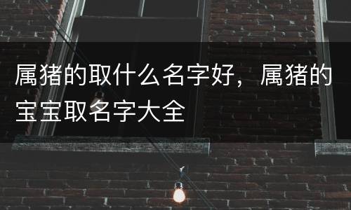 属猪的取什么名字好，属猪的宝宝取名字大全