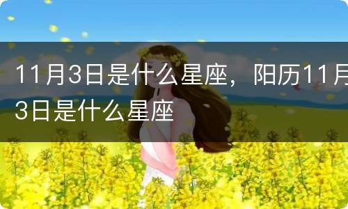 11月3日是什么星座，阳历11月3日是什么星座