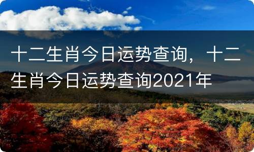 十二生肖今日运势查询，十二生肖今日运势查询2021年