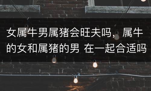 女属牛男属猪会旺夫吗，属牛的女和属猪的男 在一起合适吗
