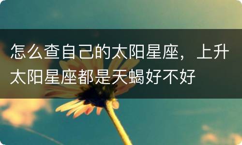 怎么查自己的太阳星座，上升太阳星座都是天蝎好不好