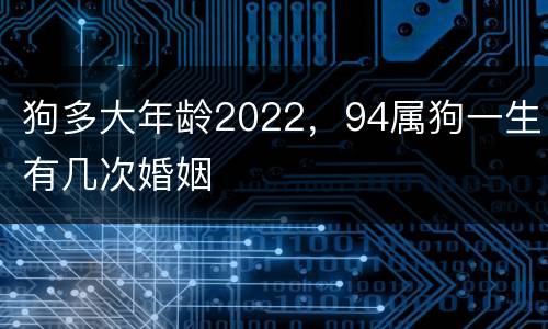 狗多大年龄2022，94属狗一生有几次婚姻