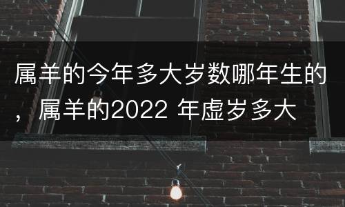 属羊的今年多大岁数哪年生的，属羊的2022 年虚岁多大