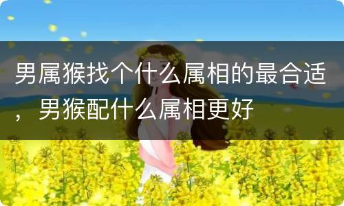 男属猴找个什么属相的最合适，男猴配什么属相更好