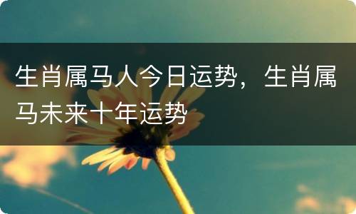 生肖属马人今日运势，生肖属马未来十年运势