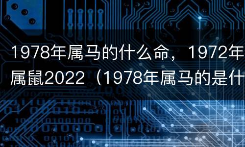 1978年属马的什么命，1972年属鼠2022（1978年属马的是什么命2022年运程）