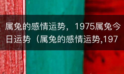 属兔的感情运势，1975属兔今日运势（属兔的感情运势,1975属兔今日运势如何）