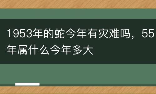1953年的蛇今年有灾难吗，55年属什么今年多大