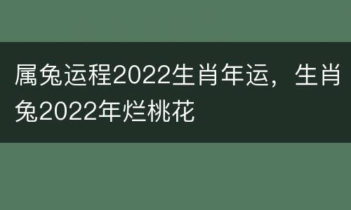 属兔运程2022生肖年运，生肖兔2022年烂桃花