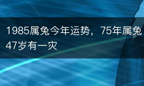 1985属兔今年运势，75年属兔47岁有一灾