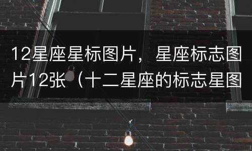 12星座星标图片，星座标志图片12张（十二星座的标志星图）