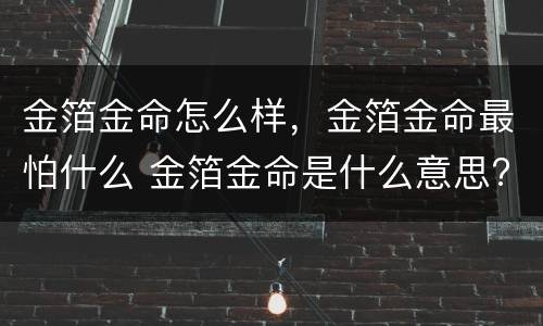 金箔金命怎么样，金箔金命最怕什么 金箔金命是什么意思?这个命好不好?