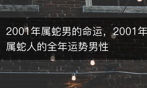 2001年属蛇男的命运，2001年属蛇人的全年运势男性