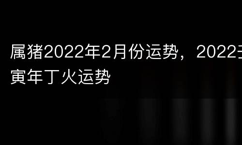 属猪2022年2月份运势，2022壬寅年丁火运势
