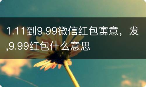 1.11到9.99微信红包寓意，发,9.99红包什么意思
