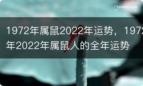 1972年属鼠2022年运势，1972年2022年属鼠人的全年运势