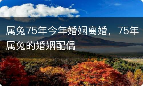 属兔75年今年婚姻离婚，75年属兔的婚姻配偶