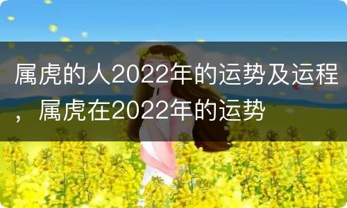 属虎的人2022年的运势及运程，属虎在2022年的运势