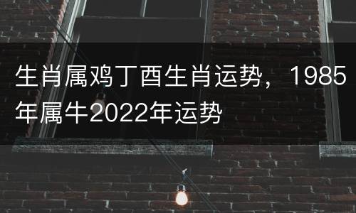 生肖属鸡丁酉生肖运势，1985年属牛2022年运势