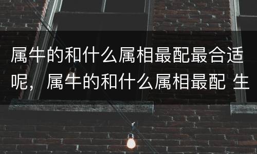 属牛的和什么属相最配最合适呢，属牛的和什么属相最配 生肖牛和