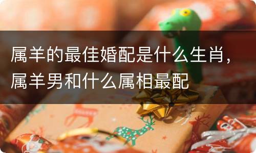 属羊的最佳婚配是什么生肖，属羊男和什么属相最配