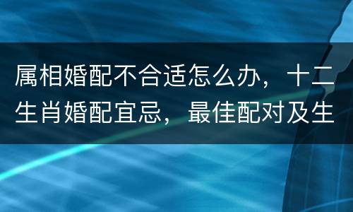 属相婚配不合适怎么办，十二生肖婚配宜忌，最佳配对及生肖不合应该如何