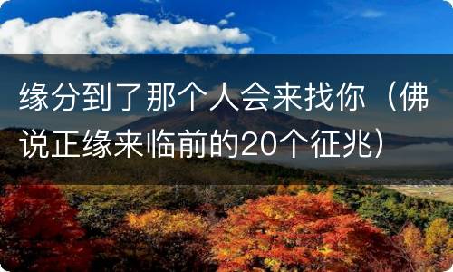缘分到了那个人会来找你（佛说正缘来临前的20个征兆）