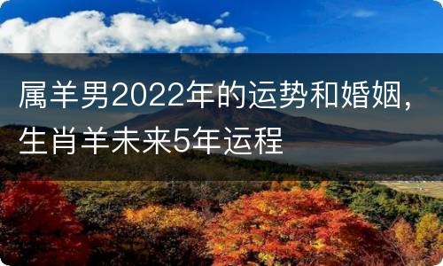 属羊男2022年的运势和婚姻，生肖羊未来5年运程