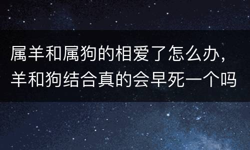 属羊和属狗的相爱了怎么办，羊和狗结合真的会早死一个吗