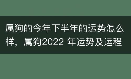 属狗的今年下半年的运势怎么样，属狗2022 年运势及运程