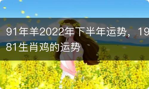 91年羊2022年下半年运势，1981生肖鸡的运势