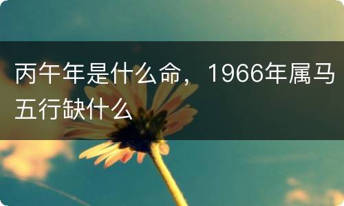丙午年是什么命，1966年属马五行缺什么