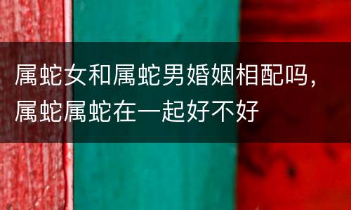 属蛇女和属蛇男婚姻相配吗，属蛇属蛇在一起好不好
