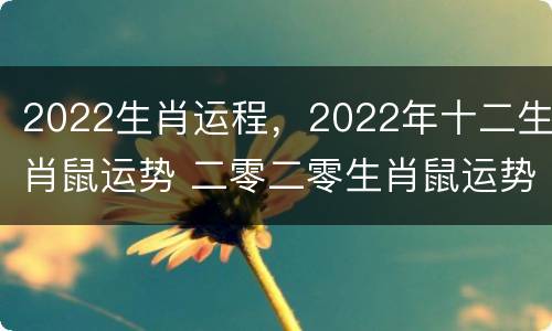 2022生肖运程，2022年十二生肖鼠运势 二零二零生肖鼠运势