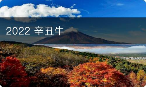 2022 辛丑牛