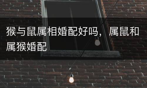 猴与鼠属相婚配好吗，属鼠和属猴婚配