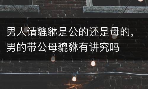 男人请貔貅是公的还是母的，男的带公母貔貅有讲究吗