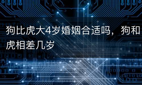 狗比虎大4岁婚姻合适吗，狗和虎相差几岁